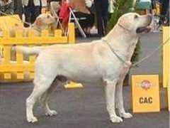 port.of.nessie.retriever.hu Zurova