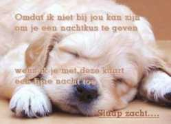 Zusen