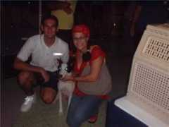 xtremedogagilitytricks.com Zussette