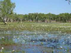 panoramio.com Zustak