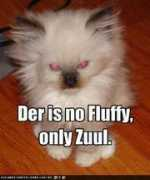 Zuul