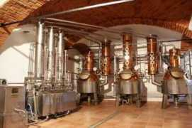 55plus-magazin.net Zweiger