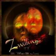 Zwillinge