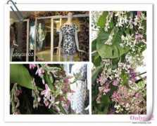 blog.onlylady.com Zyck