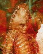 Zygon
