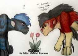 alai-tallon.com Zykia