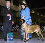 lizardsmastiffs.com Zytka